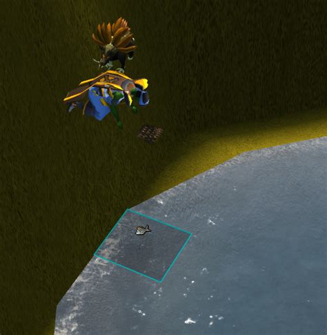 osrs aerial fishing|Aerial fishing for Anglers : r/2007scape